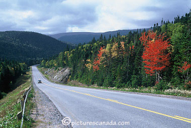 newfoundland-0064.jpg