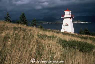 newfoundland-0070.jpg