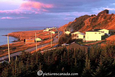 newfoundland-0075.jpg