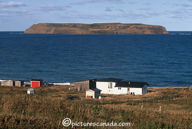 newfoundland-0077.jpg