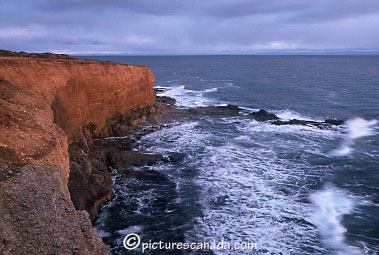 newfoundland-0085.jpg